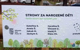 Praha 10 má 46 nových stromů za narozené děti