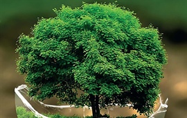 Setkání u komunitního kompostéru v zahradě Pod Rapidem