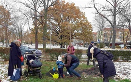 TZ: MČ Praha 10 v letech 2022–2025 vysadila 600 nových stromů